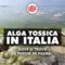 Allarme Ostreopsis ovata in Italia: l’alga tossica che invade le nostre coste e mette a rischio la salute di bagnanti e turisti